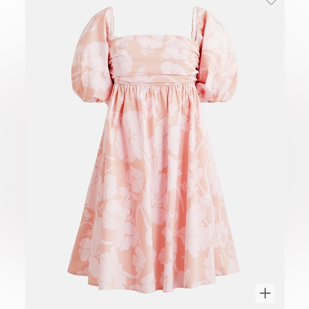 VGUC J.Crew - Puff Sleeve Mini Dress in Windswept Floral